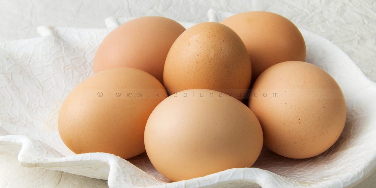 country_egg